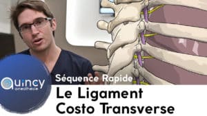Séquence Rapide ligament costo transverse